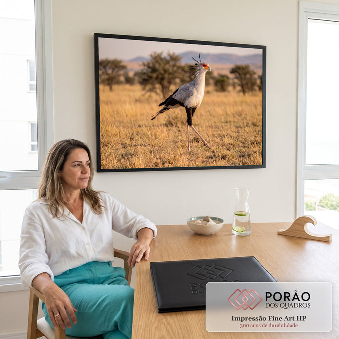 Ave secretária caminhando no capim dourado da savana africana com acácias ao fundo, quadro decorativo