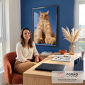 Quadro Decorativo Gato Laranja Sentado em Fundo Azul | quadros decorativos | gato laranja tigrado sentado em ângulo baixo com fundo azul | em Quadros para Quarto | Porao dos Quadros