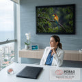 Pássaro abelharuco colorido pousado em galho molhado sob a chuva, entre folhas verdes, quadro decorativo