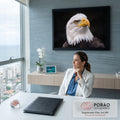 Águia-de-cabeça-branca em close com olho dourado e bico amarelo sobre fundo preto, quadro decorativo