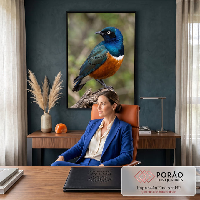 Estorninho soberbo azul iridescente com peito laranja pousado em tronco seco, fundo verde, quadro decorativo