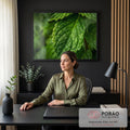 Quadro Decorativo Grande Folha de Hortelã para Sala Verde | quadros decorativos | folha verde em macro com nervuras e gotículas de água visíveis | em ambiente 2 | Porao dos Quadros