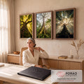 Quadro Decorativo Kit 3 Telas Árvores da Floresta para Sala | quadros decorativos | três árvores de floresta vistas de baixo com raios de sol entre as folhas | em ambiente 2 | Porao dos Quadros