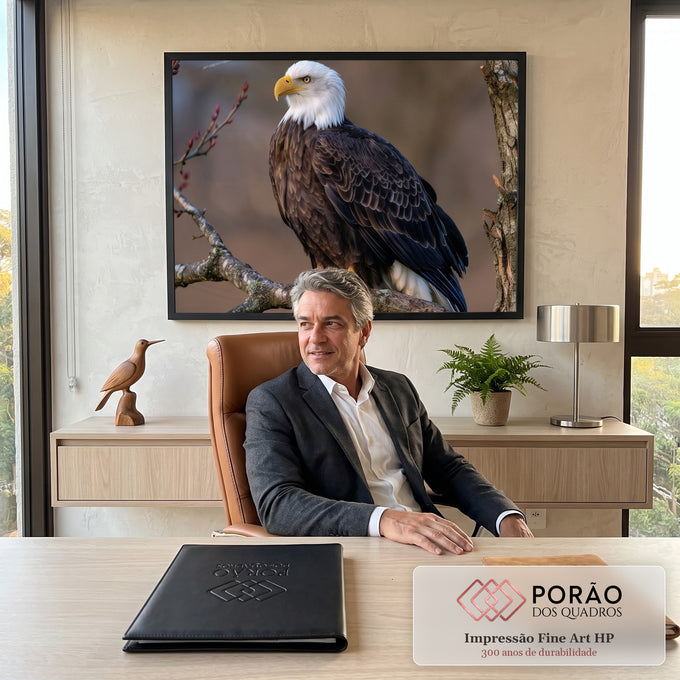 Quadro Decorativo Águia Americana de Cabeça Branca em Galho | quadros decorativos | águia-de-cabeça-branca empoleirada em galho seco com fundo desfocado | em Quadros para Escritorio | Porao dos Quadros