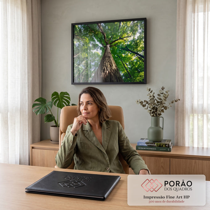 Tronco de árvore gigante visto de baixo com copa verde e luz do sol na floresta, quadro decorativo