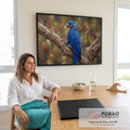 Quadro Decorativo Grande Arara em Galho Seco para Sala Azul | quadros decorativos | arara azul grande pousada em galho seco com fundo desfocado em tons terrosos | em ambiente 2 | Porao dos Quadros