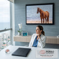 Cavalo alazão de cabresto azul em pé na areia diante do mar brilhante, quadro decorativo