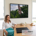 Quadro Decorativo Grande Águia Americana Voo para Sala | quadros decorativos | águia de cabeça branca voando com asas abertas sobre fundo verde desfocado | em ambiente 2 | Porao dos Quadros