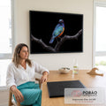 Quadro Decorativo Grande Pássaro e Laranja para Sala Azul | quadros decorativos | pássaro com plumagem azul e laranja iridescente pousado em galho seco contra fundo preto | em ambiente 2 | Porao dos Quadros