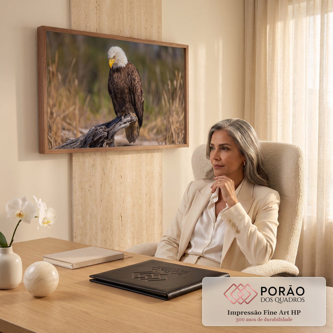 Águia-de-cabeça-branca pousada em tronco seco com capim dourado desfocado ao fundo, quadro decorativo