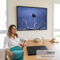 Quadro Decorativo Grande Águia Galho Nevado para Sala | quadros decorativos | águia americana pousada em galho nevado contra céu azul de entardecer | em ambiente 2 | Porao dos Quadros