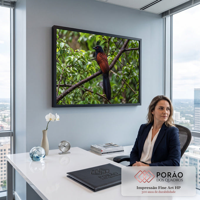 Pássaro cucal de olho vermelho e penas castanhas pousado em galho na mata verde, quadro decorativo