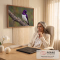 Pássaro de plumagem roxa iridescente e peito branco pousado em galho seco com fundo verde desfocado, quadro decorativo