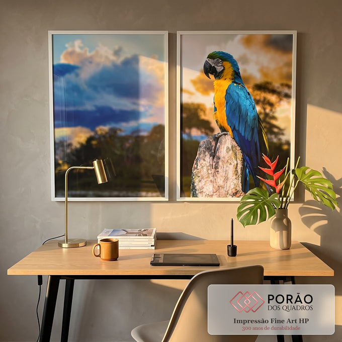 Quadro Decorativo Papagaio Tropical Elegância Viva em escritorio moderno - quadros decorativos para sala