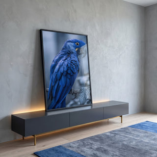 Quadro Decorativo Arara Azul Vibrante em ambiente decorado - quadros decorativos para sala
