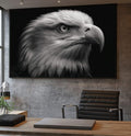 Quadro Decorativo Águia Majestosa | quadros decorativos para sala | Águia em close com cabeça branca e olho intenso em preto e cinza realista | Porao dos Quadros