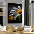 Quadro Decorativo Margarida Radiante | quadros decorativos para sala | Margarida com pétalas brancas e centro amarelo coberto por gotas de orvalho sobre fundo preto | Porao dos Quadros