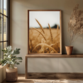 Quadro Decorativo Serenidade Natural | quadros decorativos para sala | Espiguetas de trigo douradas em primeiro plano com campo desfocado em tons quentes | Porao dos Quadros
