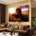 Leão de juba avermelhada deitado em trigal dourado na savana ao pôr do sol, quadro decorativo