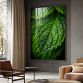 Quadro Decorativo Folhas Verdes Vibrantes | quadros decorativos para sala | Folha verde com gotas de orvalho em macrofotografia detalhada com luz natural | Porao dos Quadros