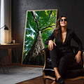 Quadro Decorativo Tronco da Vida com Força | quadros decorativos para sala | Árvore centenária vista de baixo com tronco escuro e copa verde luminosa | em Quadros para Sala | Porao dos Quadros
