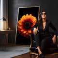 Flor laranja e vermelha de miolo escuro com pétalas em degradê sobre fundo preto, quadro decorativo