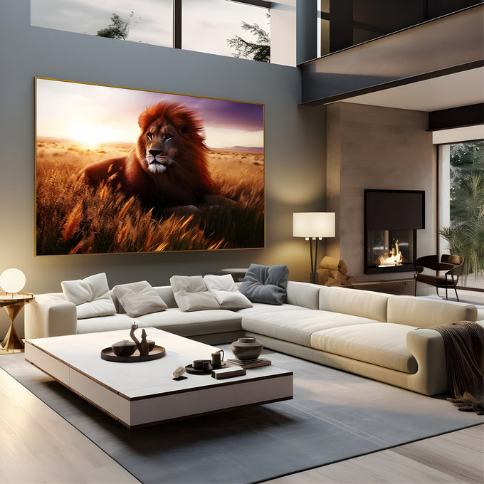 Leão de juba avermelhada deitado em trigal dourado na savana ao pôr do sol, quadro decorativo