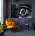Close macro de olho feminino em preto e branco com íris âmbar e cílios longos, quadro decorativo