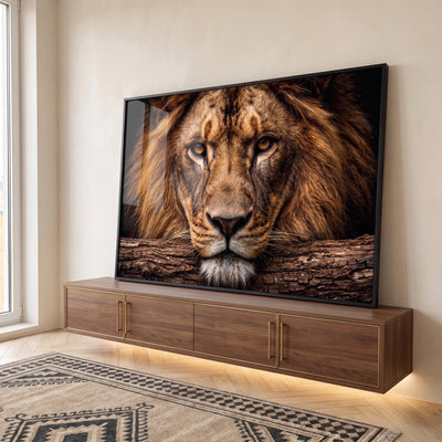 Quadro Decorativo Leão Majestoso com Olhos Âmbar em Fundo