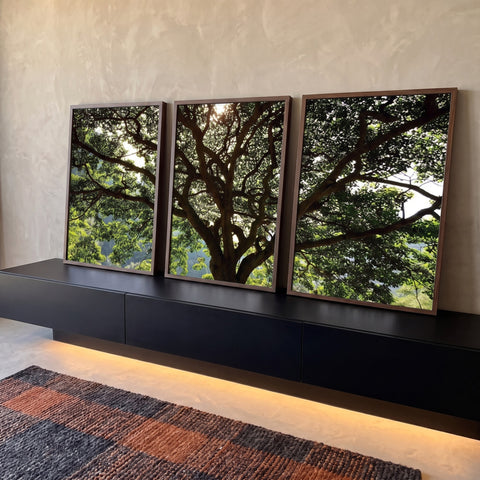 Copa de árvore frondosa verde com galhos escuros e luz entre as folhas em três telas, quadro decorativo