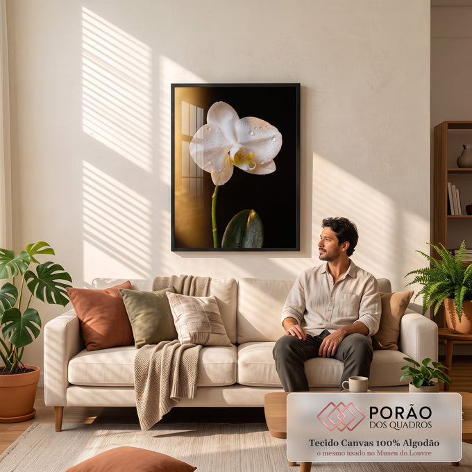 Orquídea branca com gotas de orvalho e feixe de luz dourada sobre fundo preto, quadro decorativo