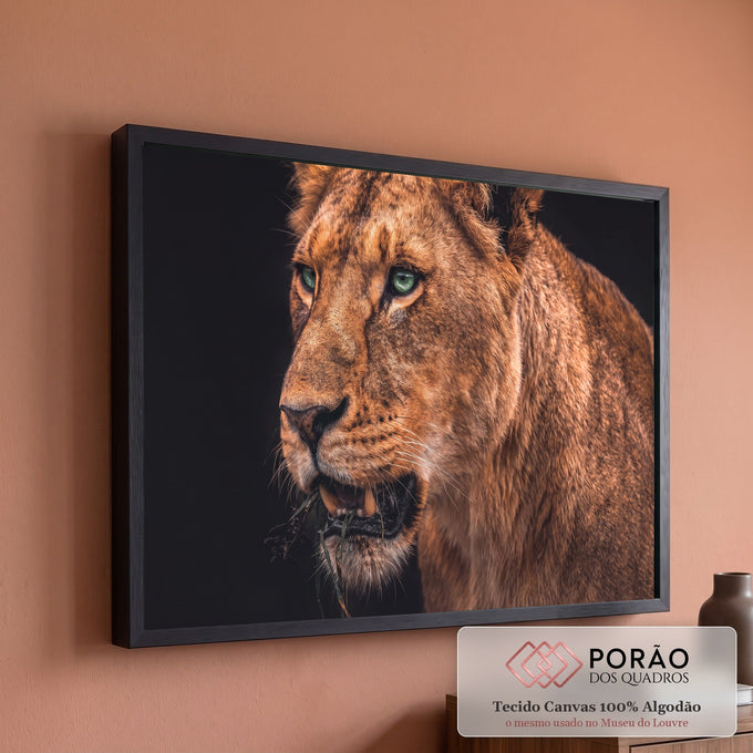 Leoa de olhos verdes com a boca aberta mordendo capim, pelagem castanha sobre fundo preto, quadro decorativo