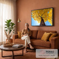 Ipê amarelo florido visto de baixo, tronco largo e céu azul com sol entre os galhos, quadro decorativo