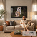 Coruja-das-torres de perfil com face branca e penas douradas sobre fundo verde desfocado, quadro decorativo