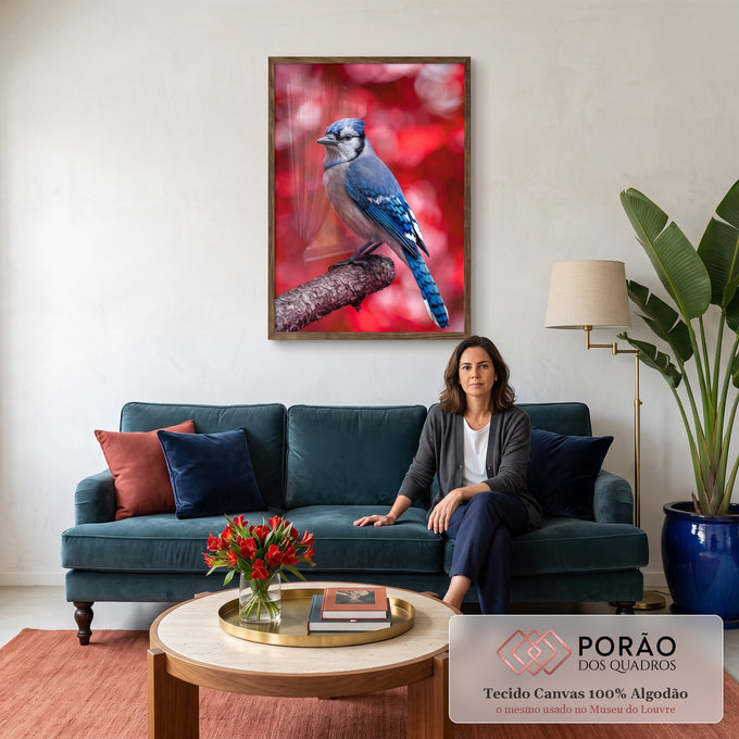 Gaio-azul pousado em galho seco com fundo vermelho desfocado em bokeh, quadro decorativo