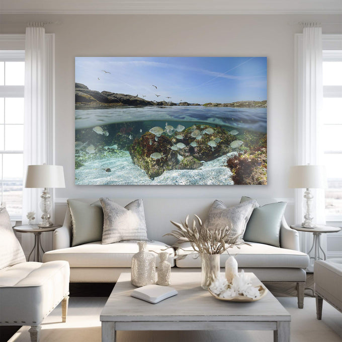 Quadro Decorativo Recife de Coral: Mergulhe na Beleza - quadros decorativos para sala 1 Tela, 1 Tela Horizontal - em ambiente decorado